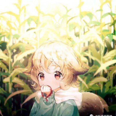 女子贷款投闺蜜推荐稳赚项目亏97万